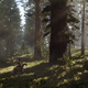 Screenshot: Red Dead Redemption 2/Rockstar Games